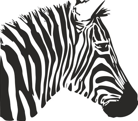 Download 599+ Zebra Print Stencil Cut Images